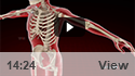 Complex Joint Reconstruction