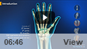 Hand Anatomy