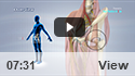 Hip Anatomy