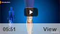 Knee Anatomy