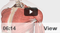 Shoulder Labrum Reconstruction